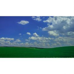 Scenic view of grassy field against sky