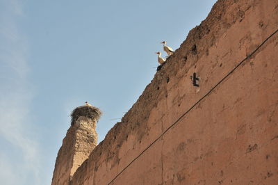 Low angle view of building against sky