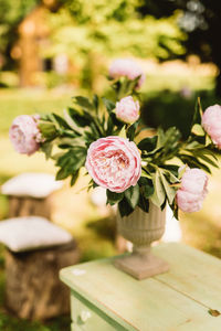 Close-up of pink rose flower pot