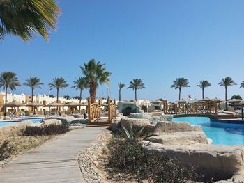 Palm trees on beach