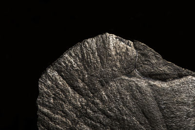 Close-up of rock against black background