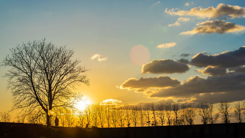 Silhouette trees against sky during sunset