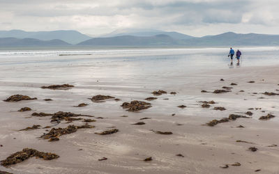 Rear view of senior couple walking on shore against cloudy sky