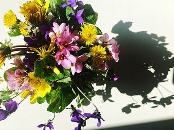 Close-up of flowers against sky