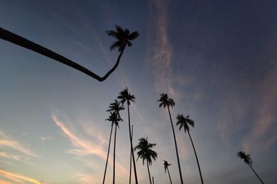 Low angle view of silhouette palm trees against sky at sunset