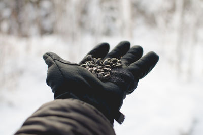 Close-up of man holding hand