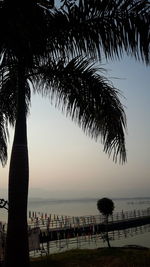 Silhouette palm trees on beach against sky during sunset