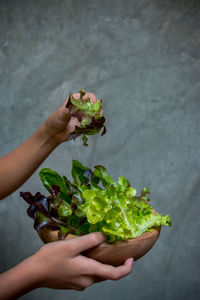 Cropped hands of woman holding lettuce in wooden bowl against wall