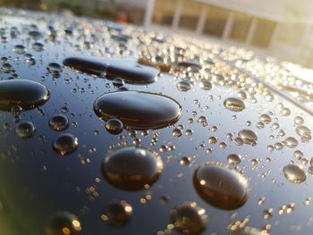Close-up of water drops on glass