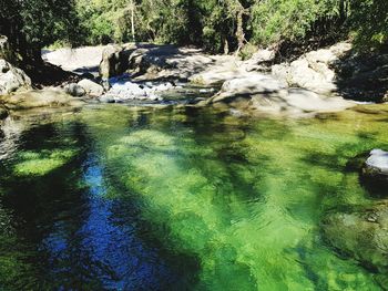 Scenic view of river flowing through rocks in forest