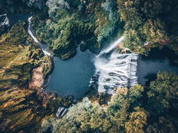Aerial view of waterfall in forest