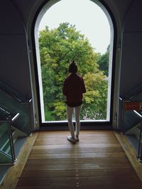 Rear view of woman looking through window