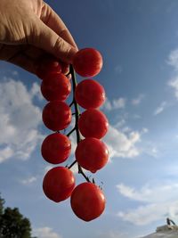 Cropped image of person holding tomatoes against sky
