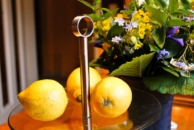 Close-up of yellow fruits and plants