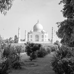 Taj Mahal one