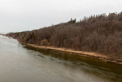 Scenic view of river amidst trees against sky
