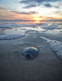 Close-up of water on beach against sky during sunset