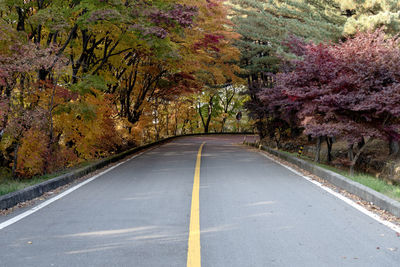 Empty road amidst trees during autumn 