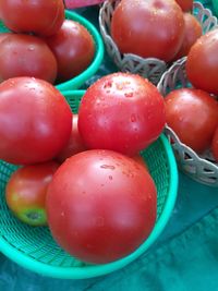 High angle view of tomatoes in container