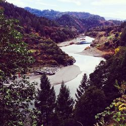 Reflection of trees in lake against sky
