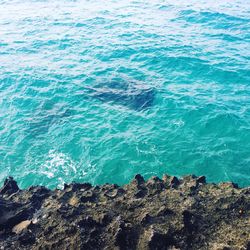 High angle view of rocks in sea