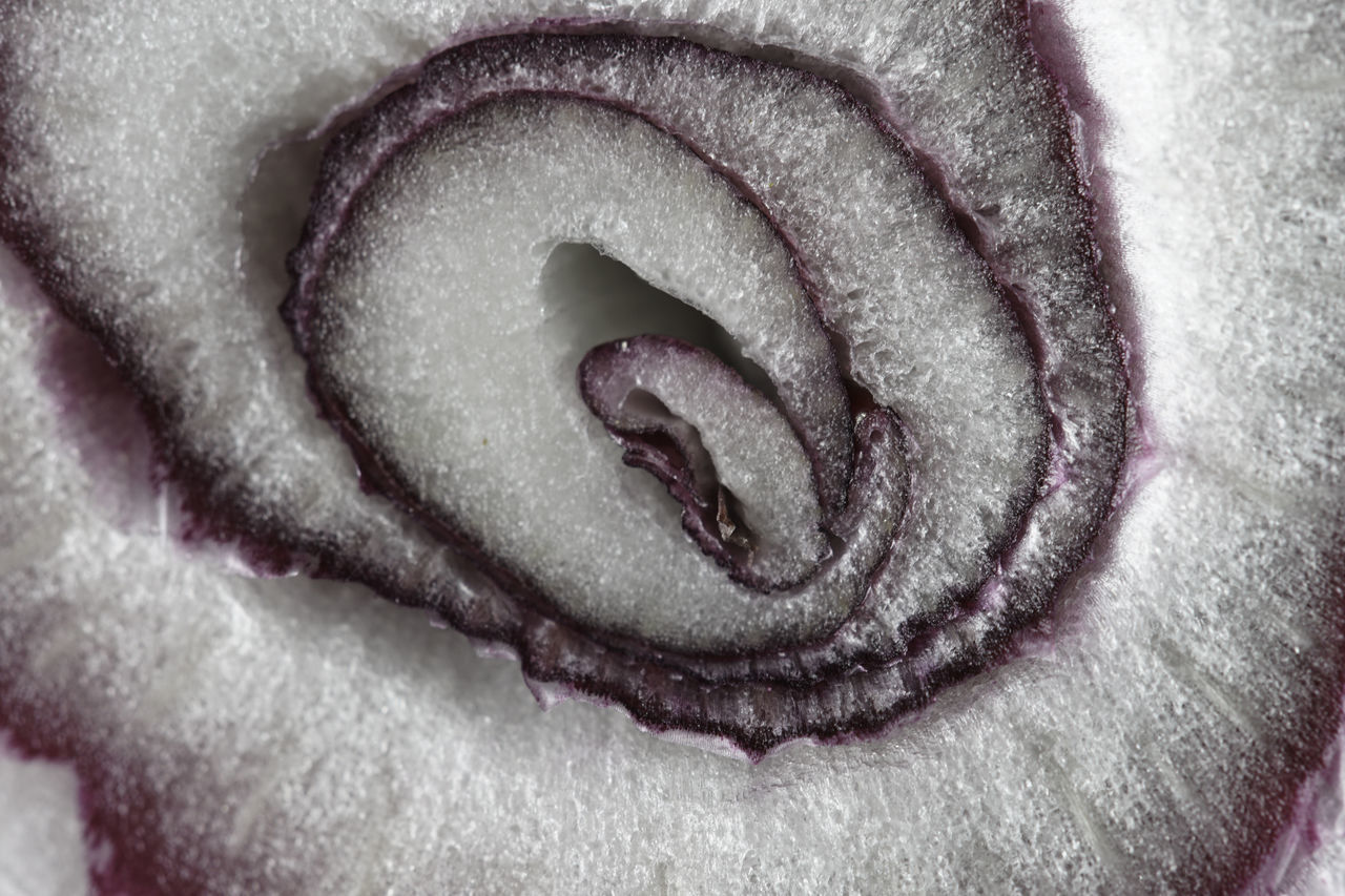 FULL FRAME SHOT OF ICE CREAM IN SNOW