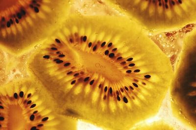 Extreme close up of yellow flower