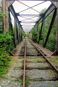 Railroad track amidst trees against sky