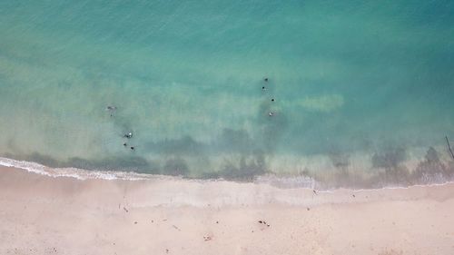 Aerial view of beach