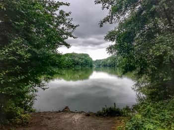 Scenic view of lake amidst trees in forest against sky