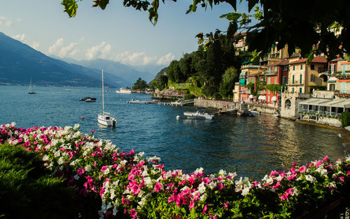 Village on the lake