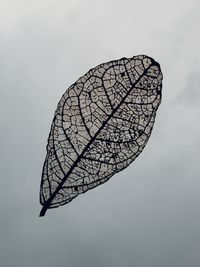 Close-up of insect on leaf against sky