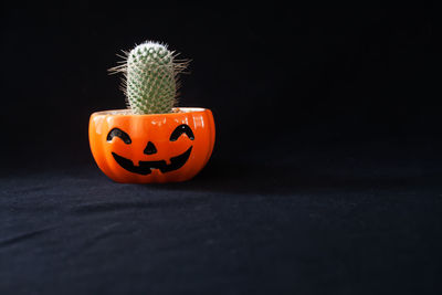 Close-up of pumpkin against black background