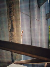 Man standing by railing against window