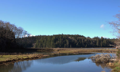 Scenic view of lake against clear blue sky