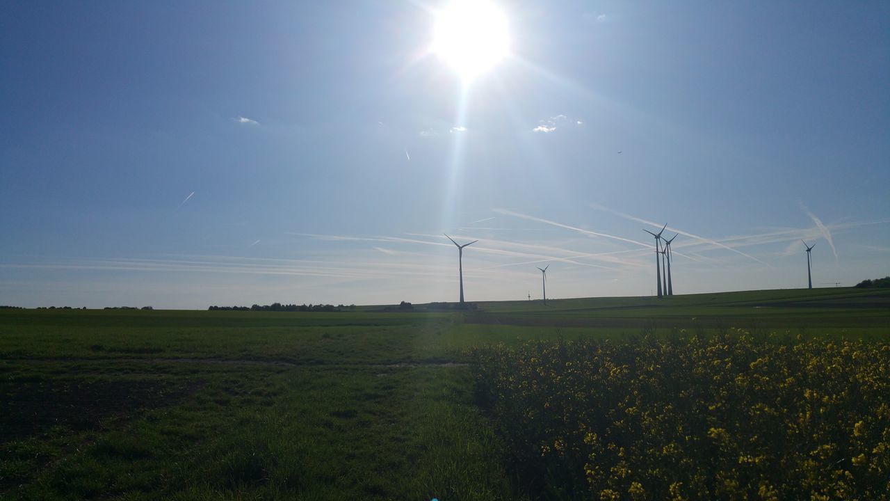 SCENIC VIEW OF FARM AGAINST SKY