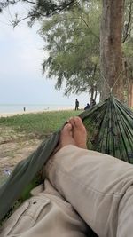 Low section of man lying in hammock