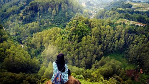 Rear view of woman sitting on rock in forest