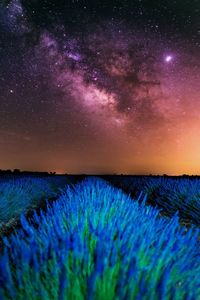 Scenic view of field against sky at night