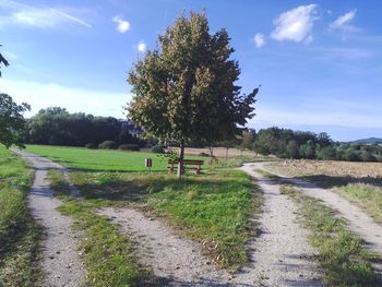 Dirt road amidst plants on field against sky