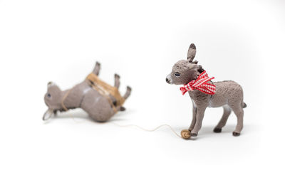 Close-up of stuffed toy over white background