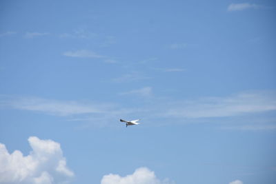 Low angle view of airplane flying in sky