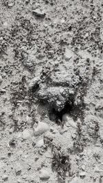 Full frame shot of mud on beach