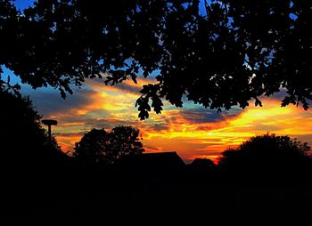 Silhouette of trees against sky at sunset