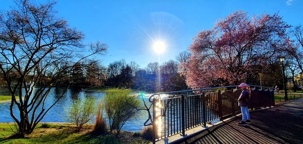 Rear view of man standing on footbridge over lake