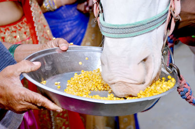 Midsection of woman feeding lentils to horse