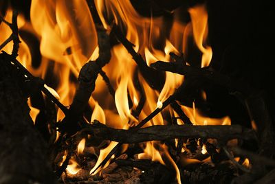 Close-up of bonfire