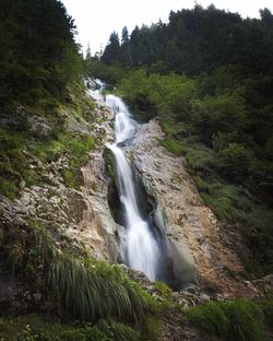 Low angle view of waterfall in forest