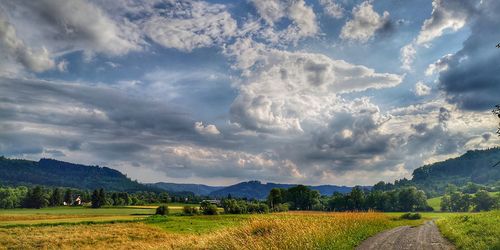 Scenic view of field against sky