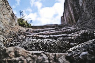 Close-up of moss on rock against sky